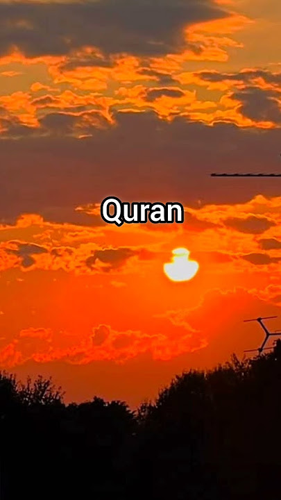 surah al ikhlas urdu translation #quran #translation