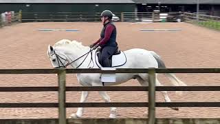 Joanne Bingham Howdy Dudey novice 2 open . Winter champs 2024