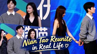 Nian Tao Reunite in Real Life: Jing Boran & Sun Qian Set the Internet Abuzz