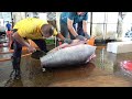 Bluefin Tuna Cutting, Tuna Steaks &amp; Sashimi / 黑鮪魚切割, 黑鮪魚肉排和生魚片 - Taiwanese Food