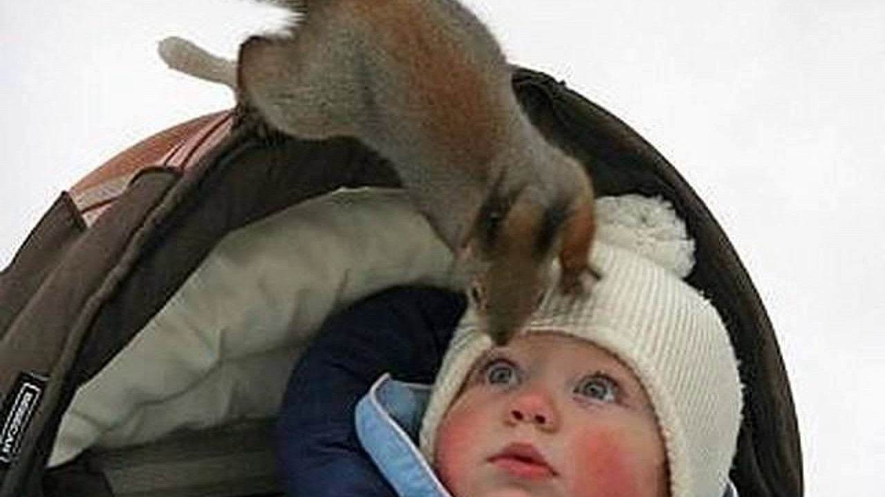 Ghbrjkb Dsltj - YouTube