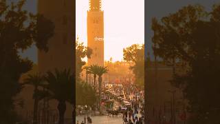 Adrénaline, Liberté, Et Ce Sentiment Unique De Vivre Linstant Présent