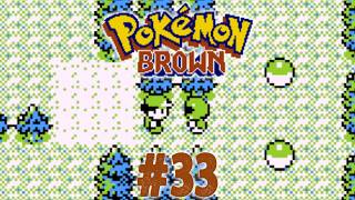 Pokemon Brown Walkthrough Part 33 - Pallet Patrol