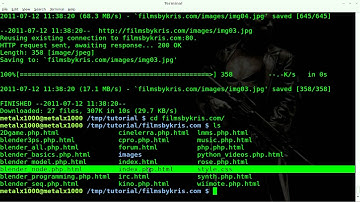 Mirroring a Website with wget  revisited - Linux - BASH