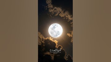 《ذَٰلِكَ عَالِمُ الْغَيْبِ وَالشَّهَادَةِ الْعَزِيزُ الرَّحِيمُ》للقارئ عبد الرحمن مسعد 🤍