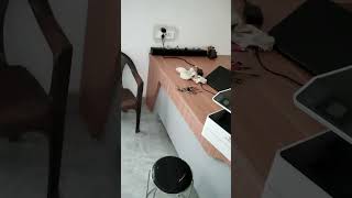 🏠 Complete House Wiring Installation | Full Electrical Wiring Work | Smart Room Wiring