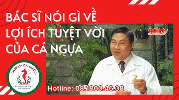 Bác Sĩ Nguyễn Công Đức Tiết Lộ Lợi Ích Tuyệt Vời Của Cá Ngựa Đại Dương