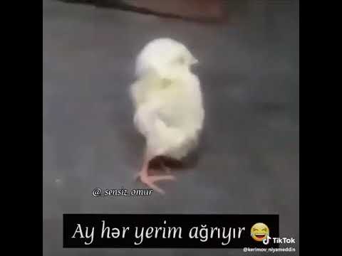 Seher yuxudan duranda men😂😂🤣🤣