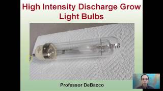 High Intensity Discharge Grow Light Bulbs
