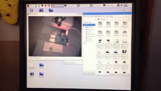 Webcam trigger with a button and Raspberry Pi