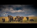 Tour Ehlane Plains Camp, Serengeti - Filmed in Virtual Reality
