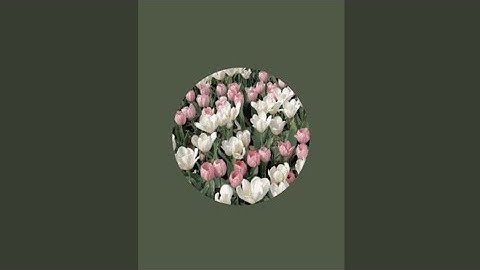 كيف نقرأ القرآن بالتجويد ؟ سورة النساء من الآية 32-33