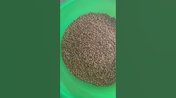 BL30 Almond color sorter machine