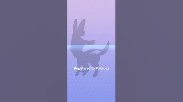 Evolving *Eevee* in *Sylveon* | How to evolve Eevee into Sylveon?