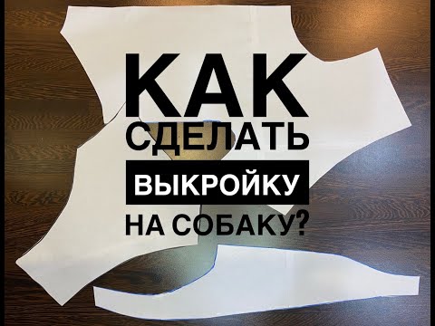 Как сделать выкройку для собаки чихуахуа своими руками