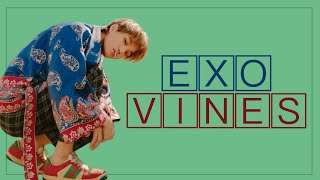 EXO vines that called me bonita