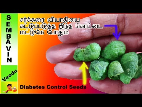 சர்க்கரை-வியாதியை-கட்டுப்படுத்தும்-மருந்து|how-to-control-diabetes|sembavinveedu