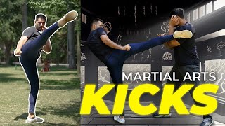 Martial Arts: 5 Basic Kicks Tutorial ft. ​⁠@AadharMalhotra