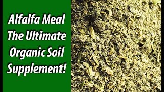 Alfalfa Meal The Ultimate Organic Soil Supplement