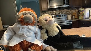 Chef Charley’s cooking show episode 1