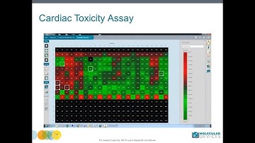 Simplified Imaging for Quantifying Biological Complexity of iPSC-Derived Cardiomyocytes and Neurons