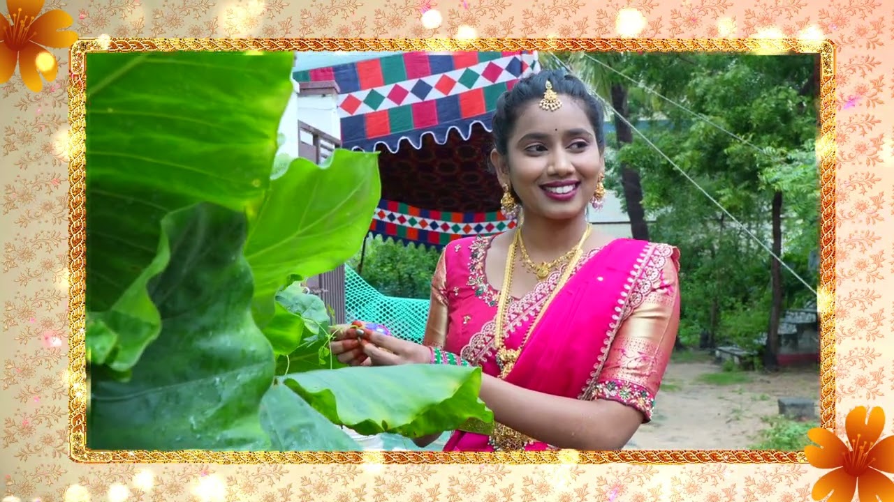 Edius & Premiere effects_2024_98