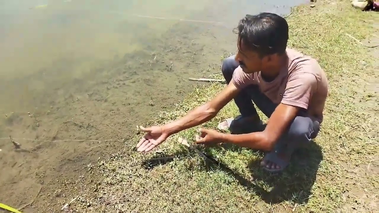 Fishing in Pakistan 2024 at Sindh River Dera Ghazi Khan || Fishing video