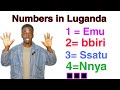 Counting numbers 0 to 10 in luganda  lesson 10