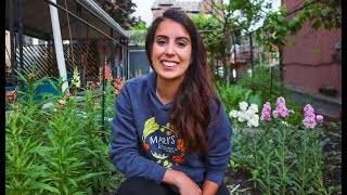 Full Garden Tour WEEK 1 | Part 1 (Plot Garden) // NYC Urban Garden MAY 2023