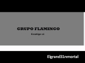 Grupo Flamingo-Contigo si.wmv