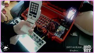 Aquatic Bee (Voices from Beyond)