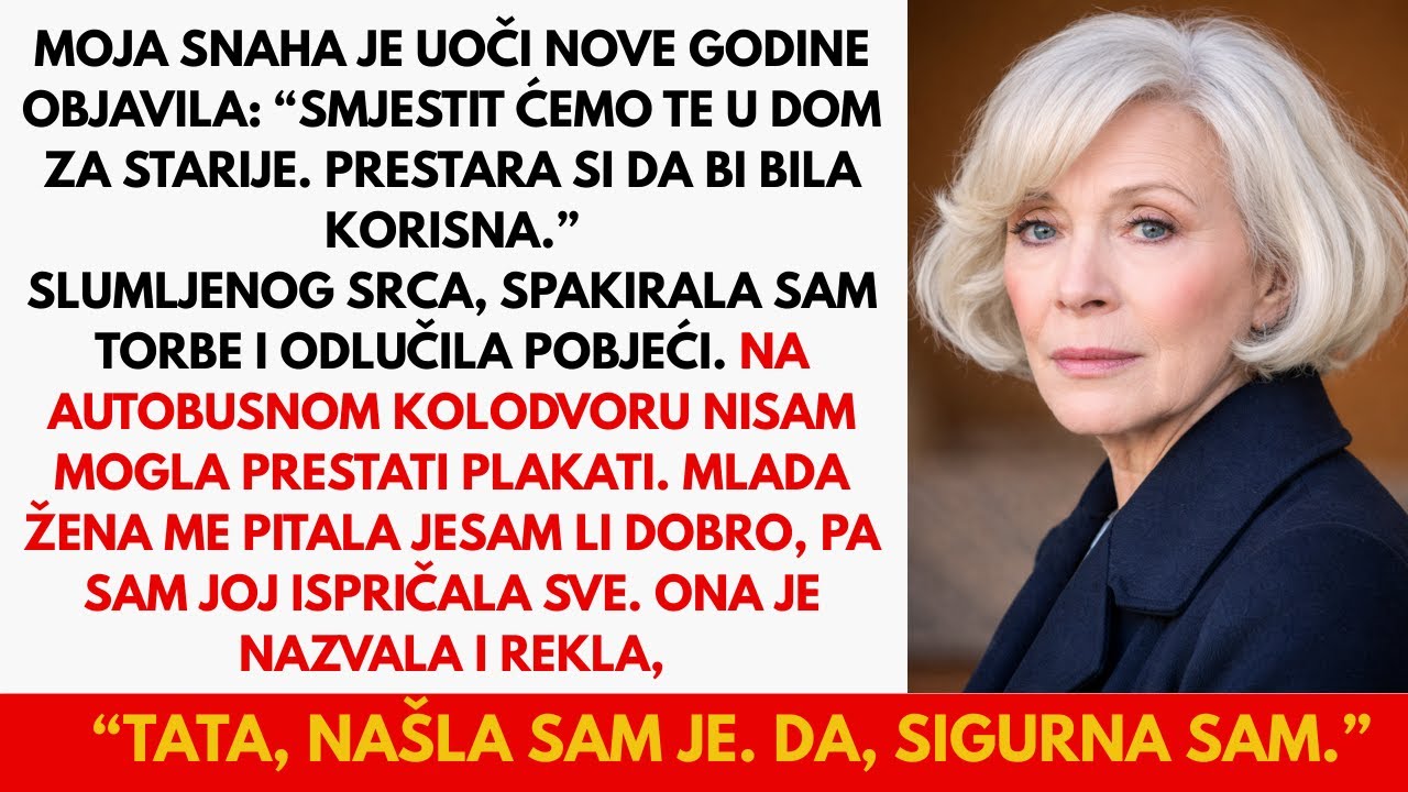 Uoči Nove godine, moja snaha je rekla: “Smještamo te u dom za starije. Sada si beskorisna.” Pa sam…