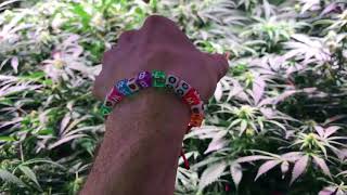 Bloom Bloom Room with a look at the Grow of Love   OPTICLEDGROWERSCUP with TNB Naturals The Enhancer