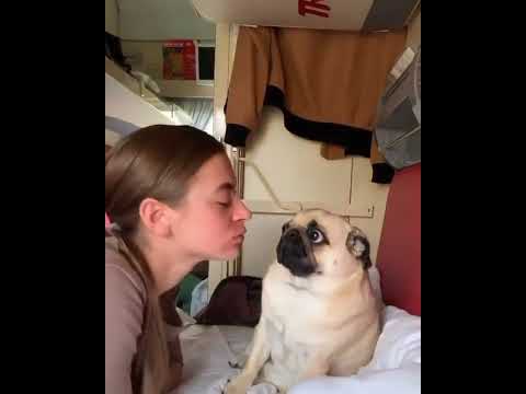 Не романтичный #shorts