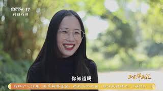 《三农群英汇》 20260802 让青春闪光在田野——收好最后一季稻 | 农业致富经 Agriculture And Farming