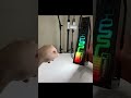 This Transparent Smart Frame Is Wild