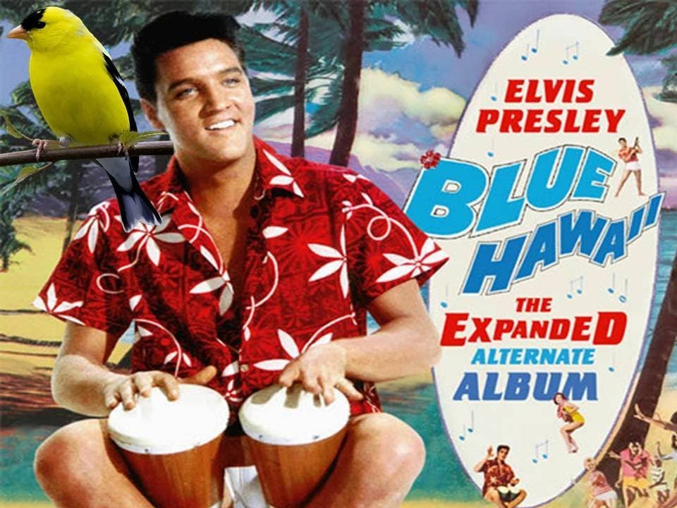 Elvis Presley_Blue Hawaii YouTube