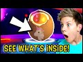How To See What PET is Inside Your EGG in Adopt Me!! Can We Get These TikTok Hacks To Work?!