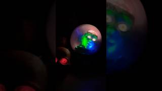 Vintage Spirit Halloween Scary Tabletop Animatronics In Action 2025 Gemmy Props