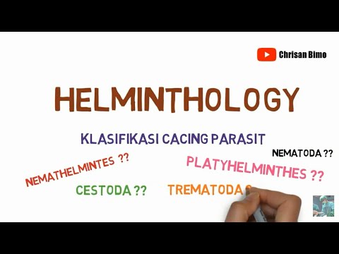 Video: Perbedaan Antara Platyhelminthes Dan Nematoda