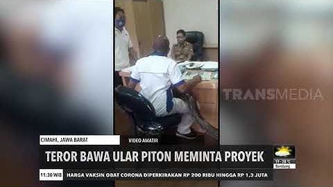Teror Kepala Dinas Dengan Ular Piton | REDAKSI SIANG (07/10/20)
