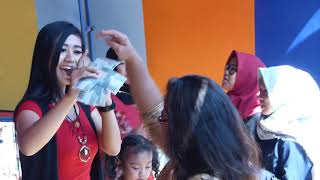 3 D'BINTANG MUSICA @ Blok Burujul, Talaga Kulon, Talaga, Majalengka