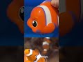 AMAZING SEA ANIMAL TOYS FOR PRESCHOOLERS AND TODDLERS| LEARN SEA ANIMAL NAMES AND FACTS