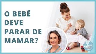 Introdução Alimentar E Como Fica A Amamentação Macetes De Mãe