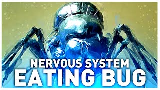 The Brain Control Bug from Starship Troopers 2 Explained | Parasitic Consumption of Neural Tissue screenshot 5