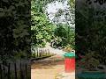 Nature's beauty😍#ram #viralvideo #reels #cutebaby #youtubeshorts #song #cutiepie #youtubecreator #yt