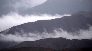 Desolate - Aviance
