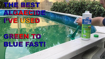 Kill Pool Algae in 24 Hours  - The Best Algicide I