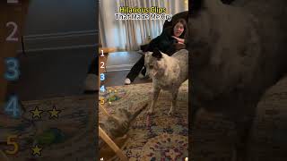 😂#student #studentlife #schoollife #school #teachers #teacherbelike