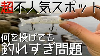 誰もいない未開拓の地はマジで無限に魚釣れる